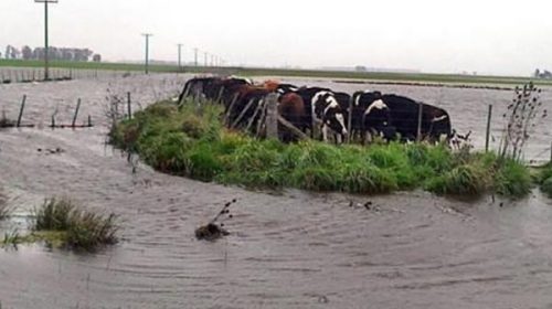 Empezará la entrega de aportes a productores declarados en emergencia