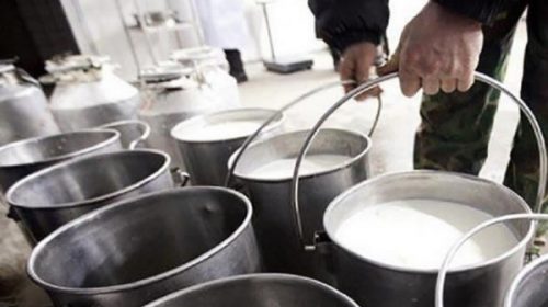 Productores de leche también regalarán sus productos en Plaza de Mayo