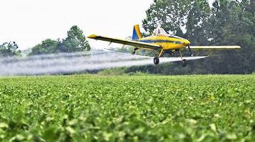 Piden prohibir la fumigación aérea y el uso de plaguicidas durante la carga de granos