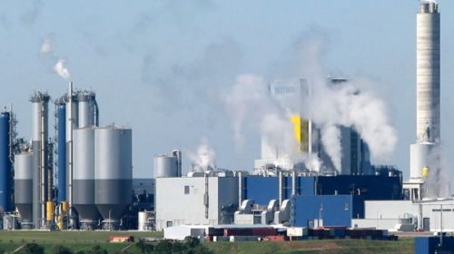 Tabaré Vázquez dijo que Macri dio beneplácito a Uruguay para instalar nueva pastera