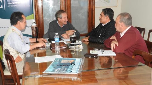 Analizan la metodología de aplicación de subsidios a la energía para actividades industriales