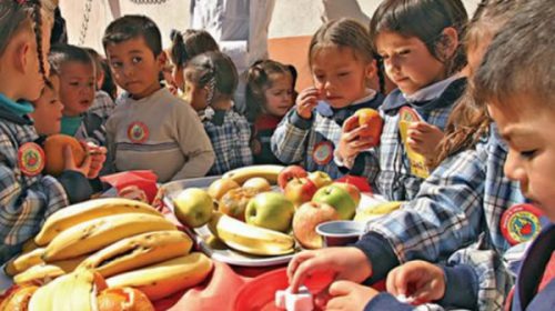 Quieren extender a la currícula escolar bases de educación nutricional