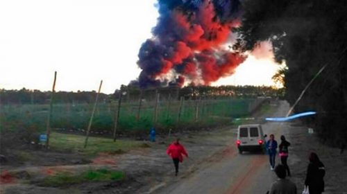 Millonarias pérdidas por incendio en firma de empaque de arándanos