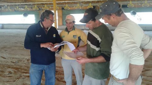 Trabajo detectó irregularidades en establecimientos rurales Trabajo detectó irregularidades en establecimientos rurales