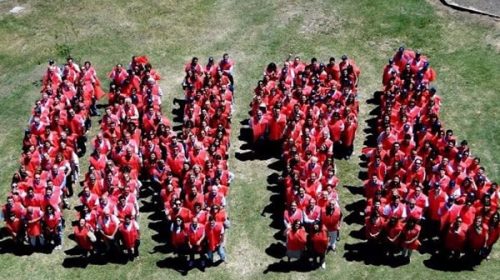 Carbap cuestionó el recorte de recursos previsto para el INTA