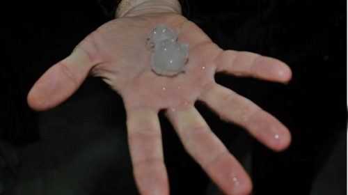 Concordia padeció una tormenta de lluvia y granizo durante la madrugada