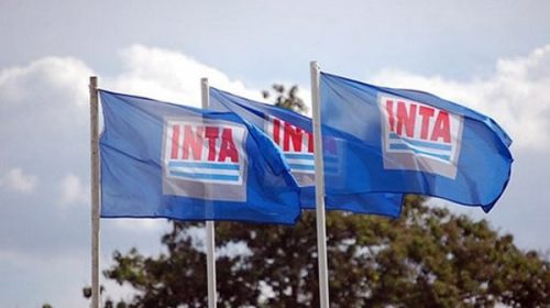 Trabajadores del INTA harán jornada de protesta ante el ajuste presupuestario Trabajadores del INTA harán jornada de protesta ante el ajuste presupuestario