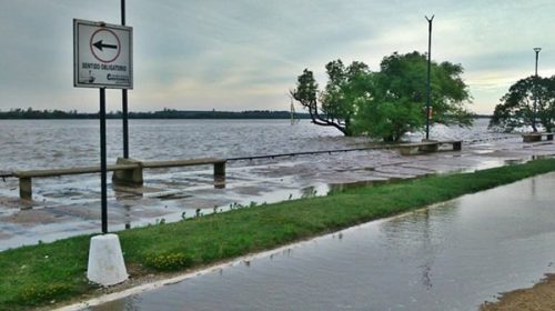 El río Uruguay crece en Concordia y ya alcanzó la costanera baja