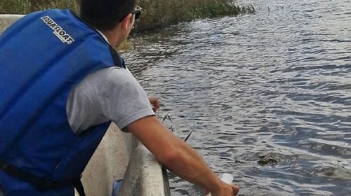 Estudiantes y docentes de la UBA realizarán un muestreo para mejorar la calidad del agua del Lago Estudiantes y docentes de la UBA realizarán un muestreo para mejorar la calidad del agua del Lago