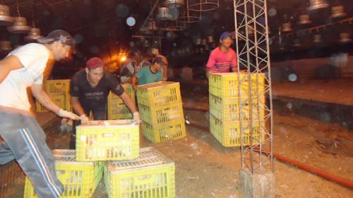 Detectaron trabajadores no registrados en el departamento Uruguay Detectaron trabajadores no registrados en el departamento Uruguay