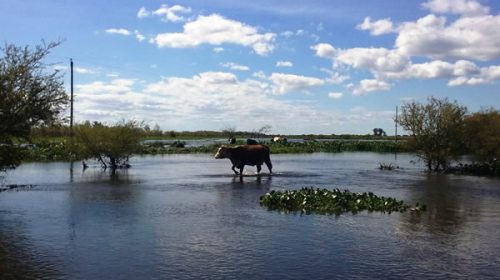 Más de 480 productores recibieron aportes del gobierno provincial por la emergencia Más de 480 productores recibieron aportes del gobierno provincial por la emergencia