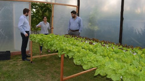 El 70 por ciento de los emprendedores entrerrianos se quieren capacitar