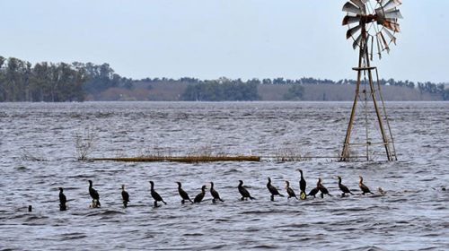 Aseguran que la agricultura continua es responsable de las inundaciones