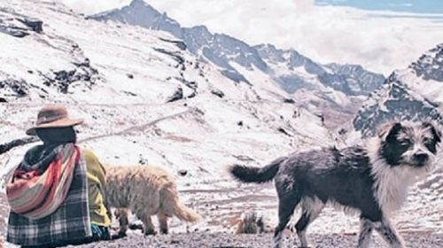 El deshielo de los glaciares bolivianos podría generar graves inundaciones y daños al ecosistema
