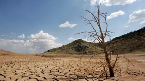 El 2016 podría convertirse en el año más cálido que haya sido registrado en la historia humana