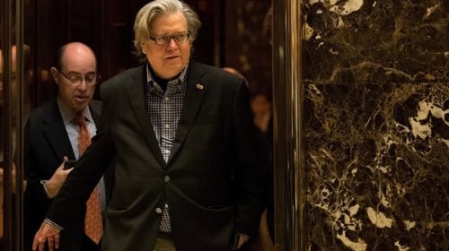 EEUU: repudio por designación de ejecutivo de ultraderecha como asesor de Trump