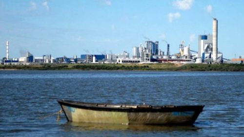 Monitoreo a UPM-Botnia confirma “contaminación” en el río Uruguay