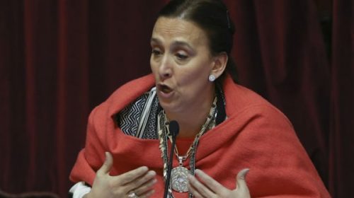 Ahora Michetti dice que tratarán de no llegar al veto y apelarán a los gobernadores