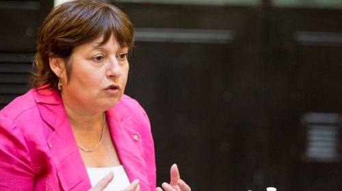 Acusan a Graciela Ocaña de blanquear las coimas de los laboratorios