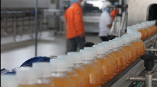 Grave: cayó la producción de alimentos un 2,6% en los primeros 9 meses del año