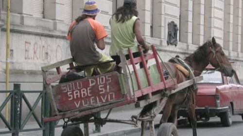 Promulgaron la ordenanza que erradica la tracción a sangre en Paraná
