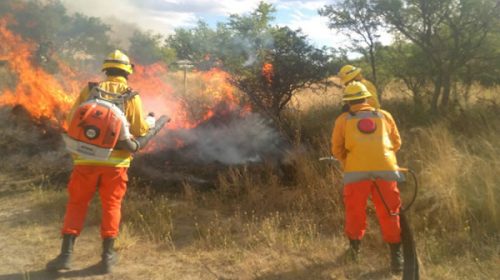 “La zona necesita aviones hidrantes, no funcionarios con fotógrafos”