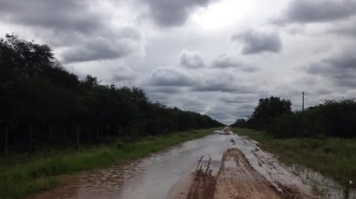 Vialidad dio a conocer los datos de lluvia y estado de los caminos