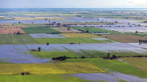 Advierten pérdidas para el campo de hasta US$ 1750 millones por las inundaciones
