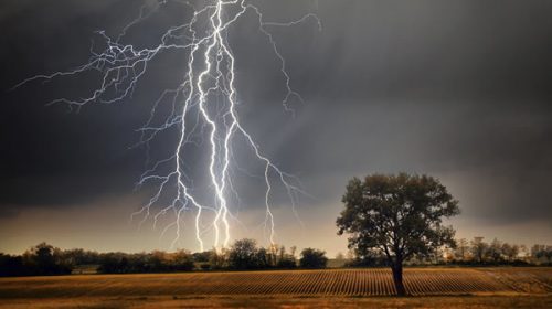 Alerta amarilla por fuertes tormentas en 11 provincias