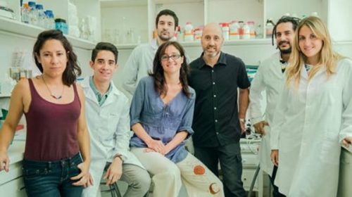 Investigadores argentinos hallaron una clave del origen del Alzheimer