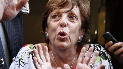 Fein reiteró que la muerte de Nisman pudo haber sido “un crimen, una instigación o un suicidio”