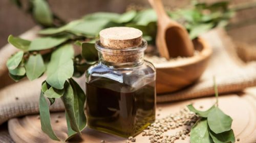 Diputados mendocinos aprobaron el uso medicinal del aceite de cannabis