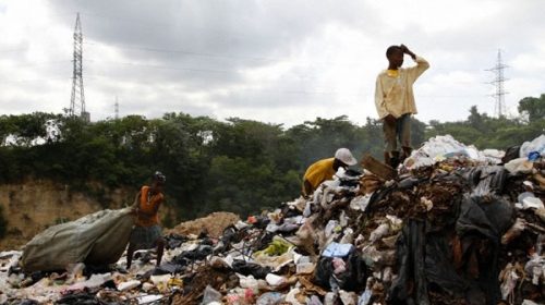 Medioambiente contaminado, letal para los niños, dice la OMS