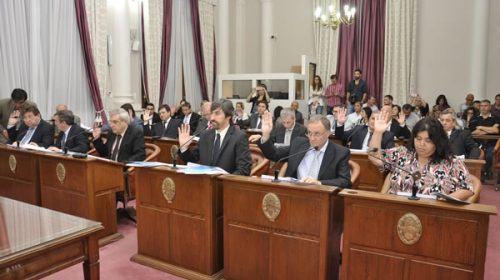 El Senado dio media sanción a la Ley de la Madera