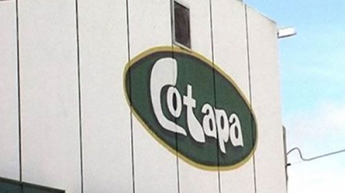 Cotapa suspendió producción y licenció trabajadores