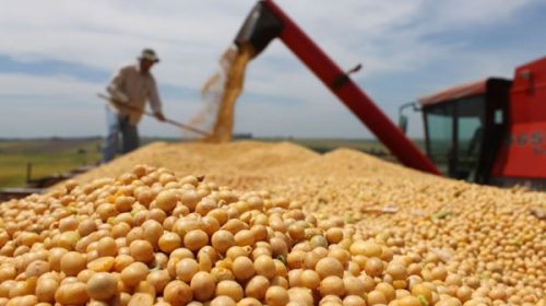 Efecto atraso cambiario: la liquidación de divisas cae un 23,2% en el año