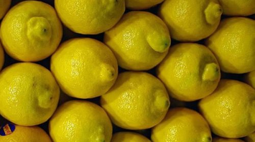 EEUU extendió la suspensión a la importación de los limones argentinos