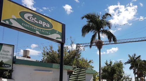 Expectativas por una lenta recuperación en Cotapa