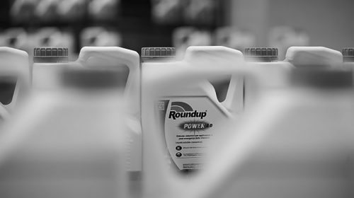 Monsanto, hallado culpable por daños a la salud y el ambiente, crímenes de guerra y ecocidio