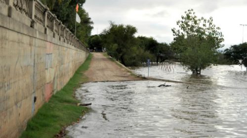 El río Uruguay tenderá a bajar durante la semana El río Uruguay tenderá a bajar durante la semana