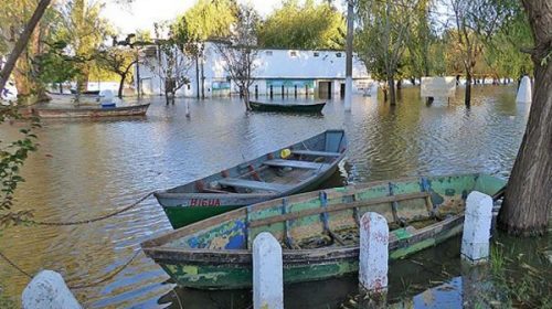 Alerta ante una nueva crecida del río Uruguay