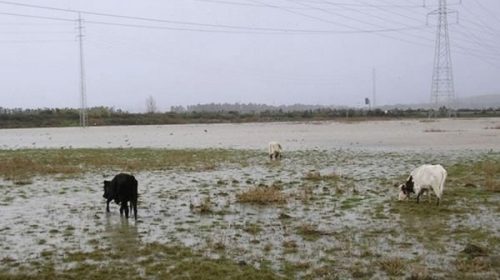 Preocupa la situación en Corrientes por las inundaciones