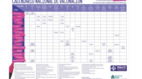 Recomiendan controlar que los carnets de vacunas estén al día