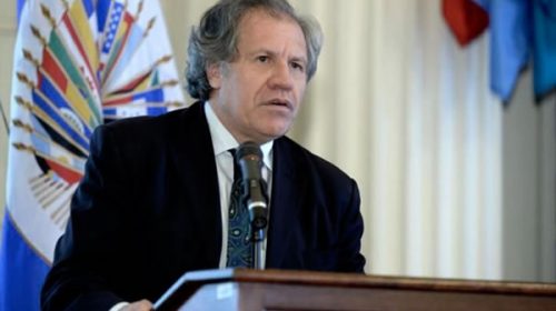 La OEA evalúa formar un “grupo de contacto” como mediación entre gobierno y oposición