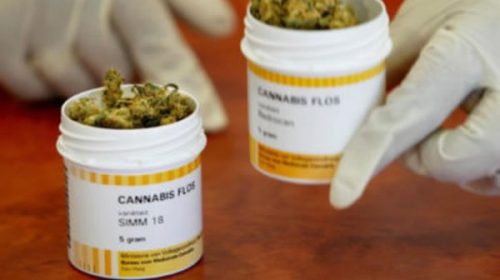 Se inició la venta de medicamentos a base de marihuana en las farmacias de Santiago de Chile
