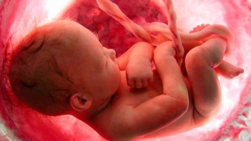 Avance de la ciencia: nacerá en Córdoba el primer bebé con genes “perfectos”