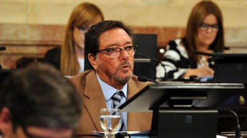 La ley para limitar el 2×1 será “una pauta interpretativa”, afirmó Guastavino