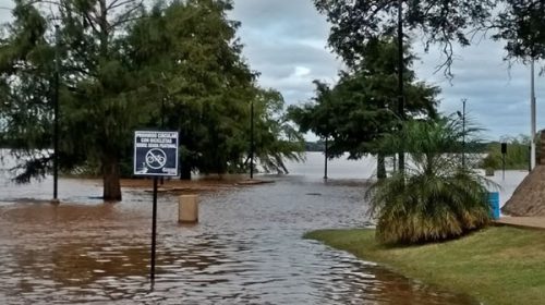 El río Uruguay vuelve a rozar los 10 metros en el puerto de Concordia