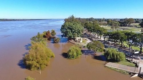 En Concordia, el río Uruguay no superará los 11 metros