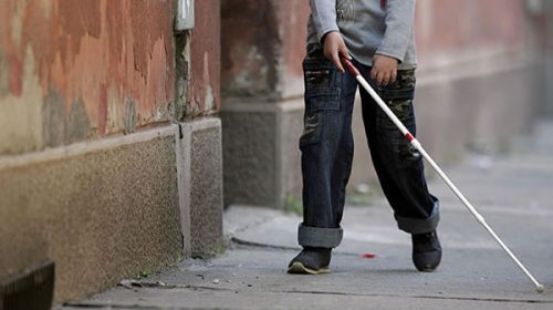 El Iprodi elevará pedidos a Nación por las pensiones por discapacidad